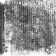 崔澹